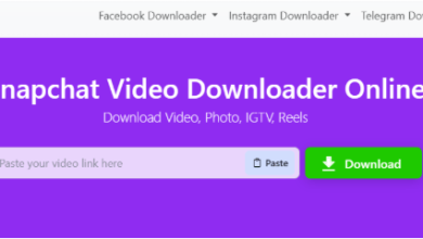 Snapchat Video Downloader Online