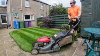 Signs Your Garden Needs Professional Maintenance Help