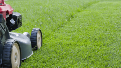 The Right Blade Height and Mowing Pattern to Protect Your Grass