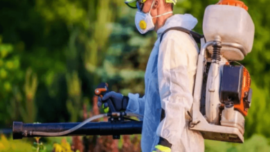 How Seasonal Changes Impact Pest Control: What You Need to Know