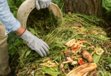 Can You Compost Everything in Your Garden Waste? (Spoiler: No)
