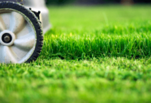 How to Adjust Mowing Height Based on Season and Grass Type