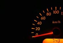 precision dataset panel numbers