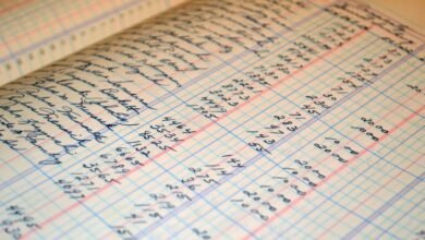 prime data ledger entries