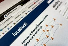 professional online web services